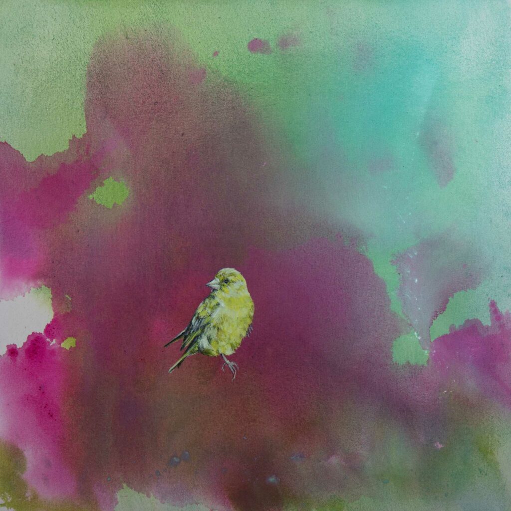 birds 1, 50 x 50 cm, oil and ink on canvas