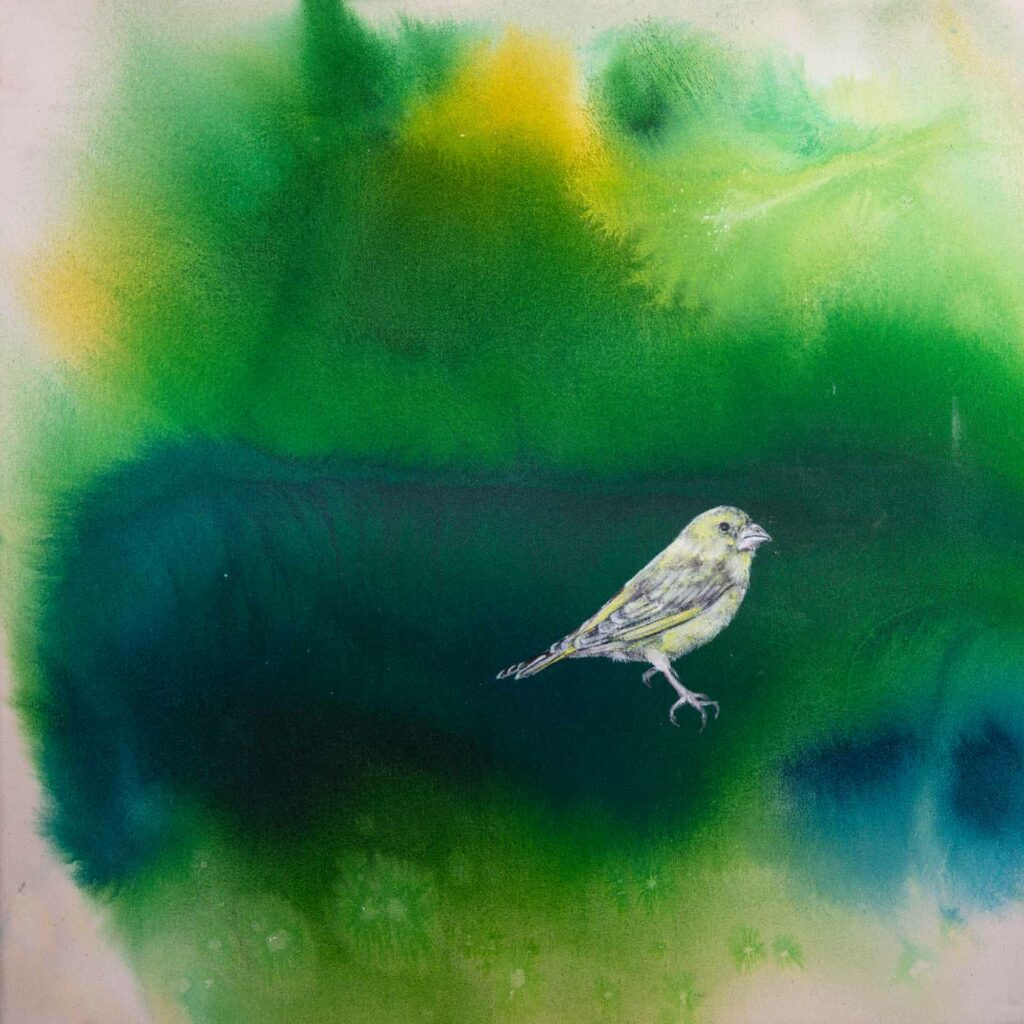 birds 6, 50 x 50 cm, oil and ink on canvas